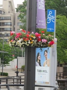 13318971_1009742105770522_500320604_n