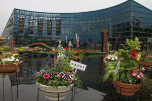 13321080_1009740169104049_799262222_o