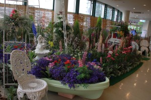 13321270_1009740662437333_511090877_o