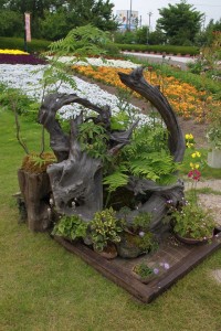 13329850_1009740469104019_1288959294_n