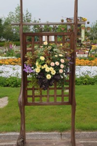 13329900_1009740165770716_764219503_n