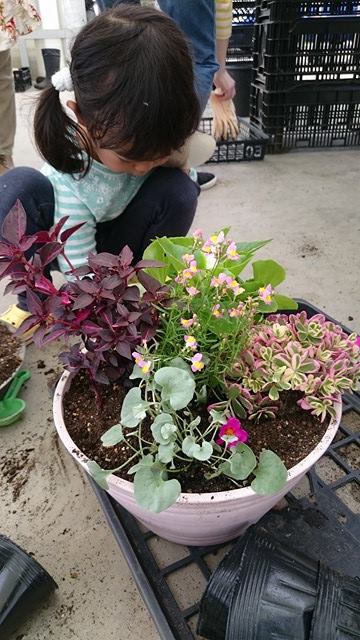 「クラブJOY☆ガーデニング隊」今年度初回教室！！