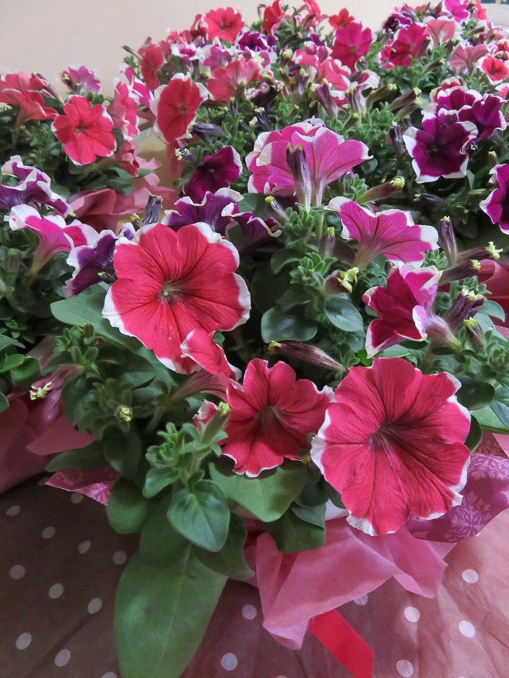 後援会のテーブル装花！！