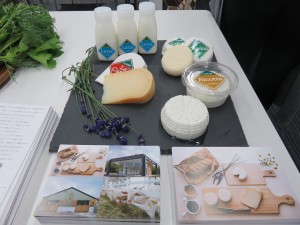 13310412_1012626082148791_9211461612389491764_n