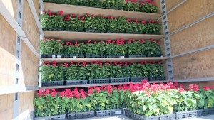 13313474_1012046992206700_2051073719_o