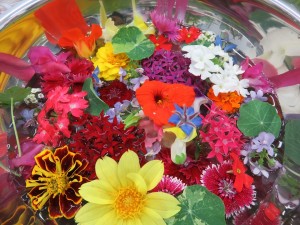 13315551_1012626065482126_627997602952319906_n