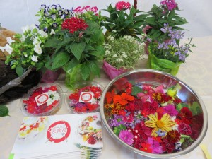 13321183_1012844772126922_131582227_o