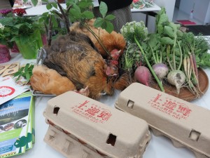 13321642_1012626098815456_3868190625264655337_n