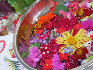 13323994_1012844805460252_813243656_o