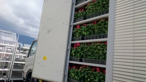 13324233_1012046995540033_1452593483_o