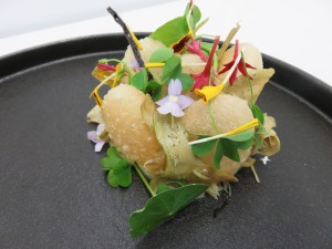 13324384_1012844695460263_797529779_o