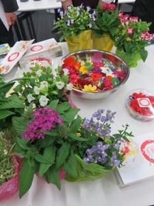 13327575_1012626048815461_1158829638112606900_n