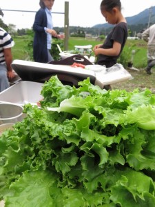 13330976_1014256905319042_5106498810044106257_n