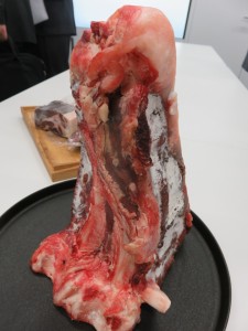 13339554_1012626145482118_4151863858387248881_n