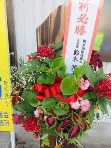 13382198_1014809445263788_1598535696_n