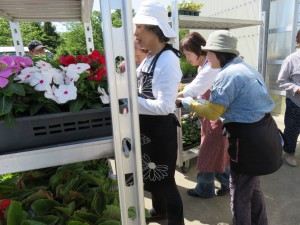 13383615_1014812115263521_1098824790_o