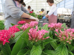 13389249_1014812121930187_2116662966_o