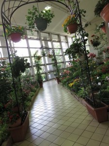 13393118_1015407485203984_2016238501_n