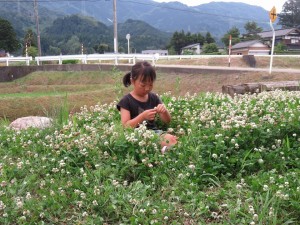 13393983_1014257105319022_4972065827669306344_n