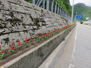 13396561_1017806401630759_1754249404_o