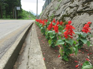 13410397_1017806444964088_392776708_o