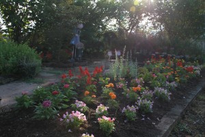 13410910_1017146475030085_1914113469_o