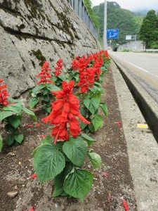 13413992_1017806448297421_861338831_n