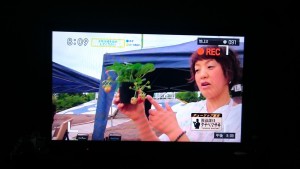 13417630_1019598518118214_451357467065218435_n