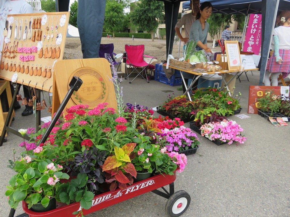 今年初出店！！チューリップ朝市！！