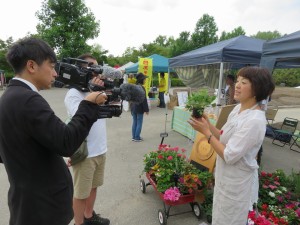 13427960_1018404231570976_1072928082569395780_n