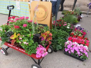 13434907_1018404288237637_8595960001425705873_n