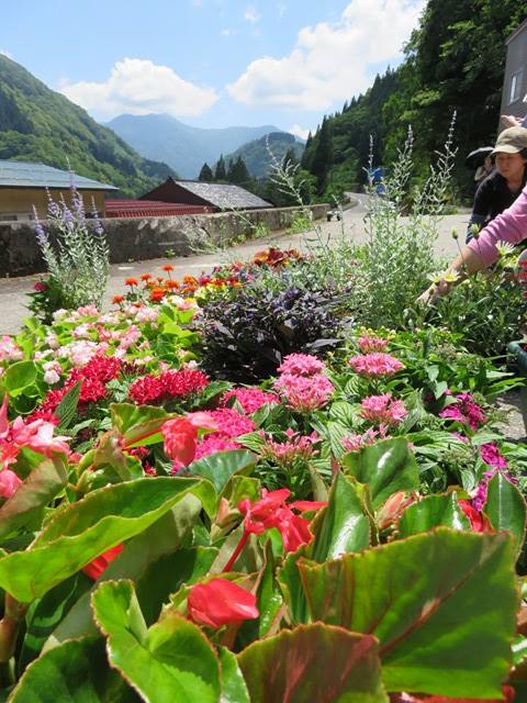 五箇山商工会女性部寄せ植え教室