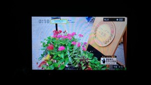 13442227_1019598688118197_5851527730756120298_n