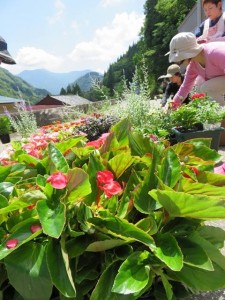 13444447_1017806361630763_1066312588_n