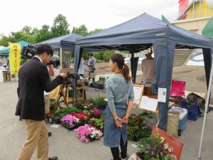 13445337_1018404264904306_7597040351121872104_n