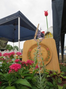 13445424_1018404368237629_1880600846367927292_n