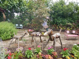 13445969_738845342922396_255150205_o