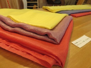 13446393_1022045767873489_1312155142_o