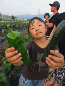 13450023_1022364911174908_2533084127756833747_n