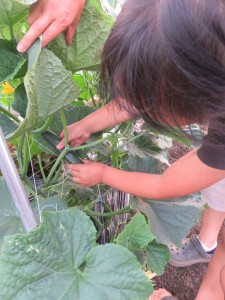 13450310_1022364867841579_6859731020521824968_n