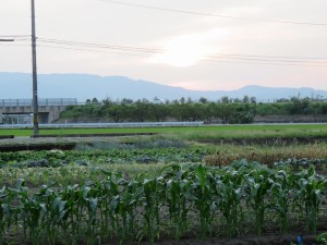 13450801_1022364974508235_1898871882183660188_n