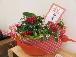 13461233_1022045787873487_860812013_o