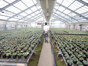 13467582_738845329589064_361376917_o