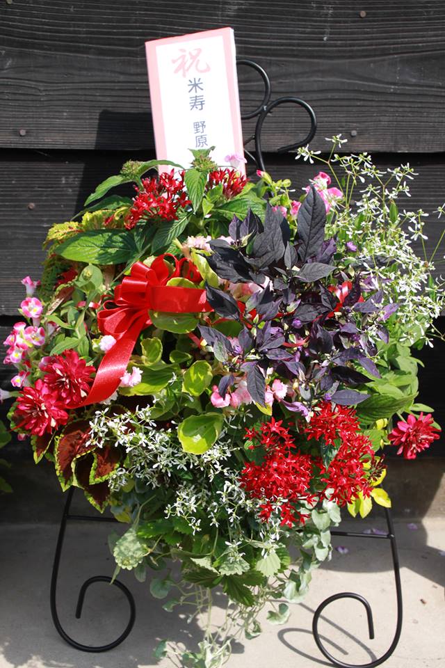 米寿のお祝いにハンギングバスケット☆