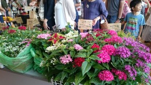 13494814_1027224114022321_3257789339858655965_n