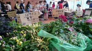 13494832_1027224157355650_3830188569667455408_n