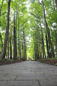 13495329_1029477493796983_3991069653189756302_n