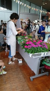 13501679_1027224240688975_1273223539004492958_n