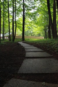 13509006_1029477397130326_2272501430048901898_n