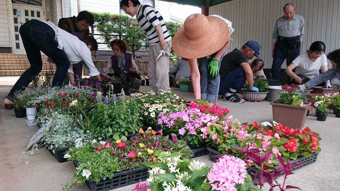 老人会サロンで寄せ植え教室♪